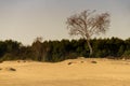 KozÃâow desert in Poland in Lower Silesia